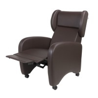 Exotic armchair manual or electric: Indicated for use by patients and companions